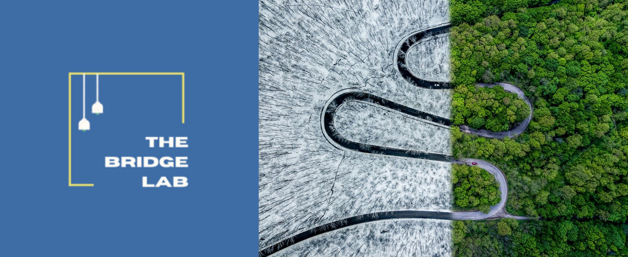 Photo or logo for BRIDGE Lab (DSI)